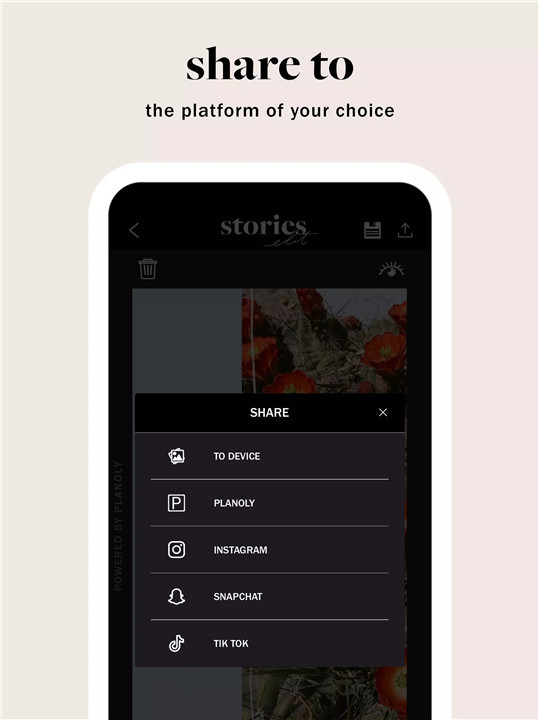 StoriesEdit screenshot