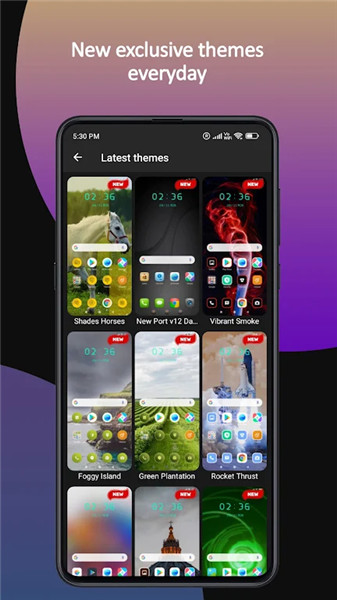 Themes screenshot