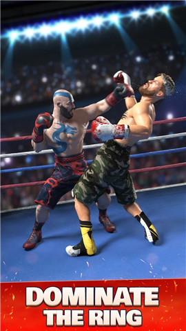 Boxing Ring screenshot