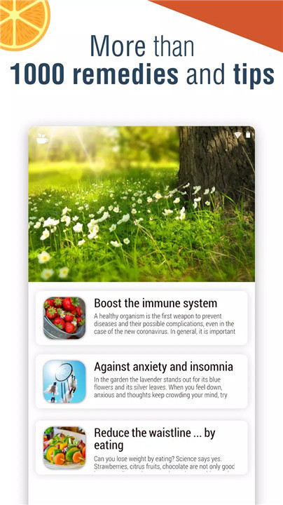 Natural Remedies screenshot