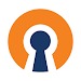 OpenVPN