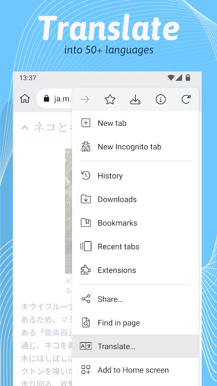 Kiwi Browser screenshot