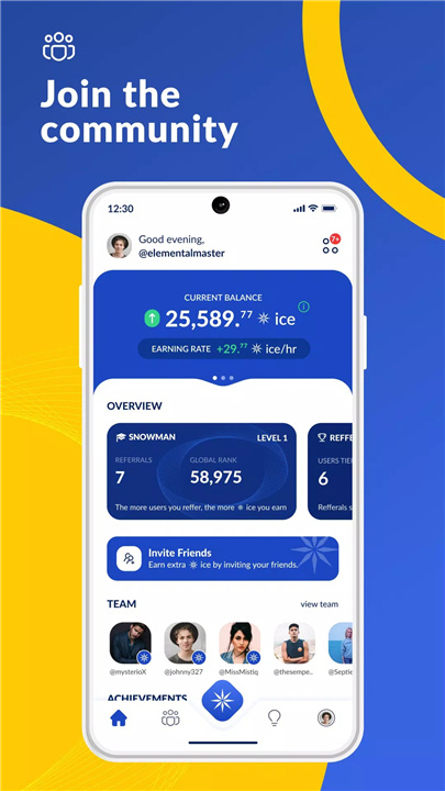 Ice Network screenshot