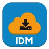 1DM
