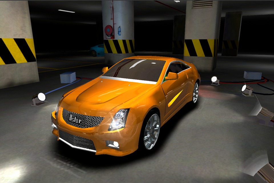 Car Race screenshot