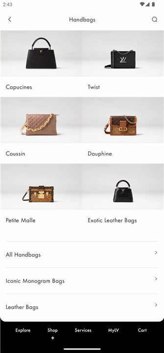 Louis Vuitton screenshot