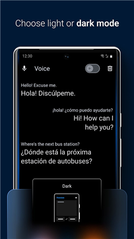 iTranslate Translator screenshot