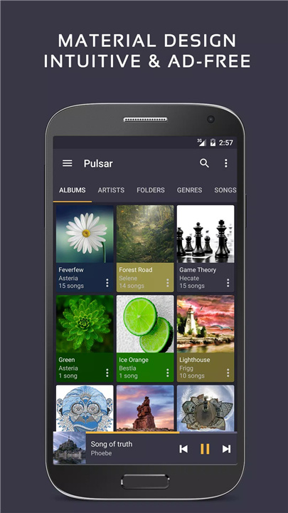 Pulsar Music Player screenshot