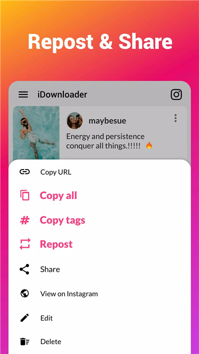 Video Downloader for Instagram screenshot