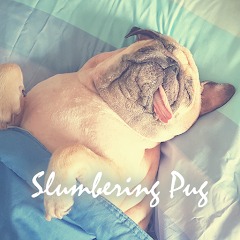 Slumbering Pug Theme +HOME