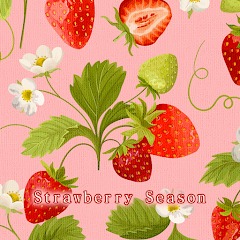Strawberry Season Theme +HOME