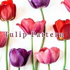 Tulip Pattern Theme +HOME