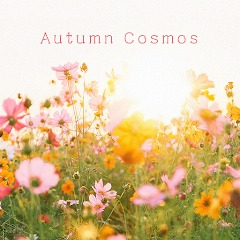Autumn Cosmos Theme +HOME