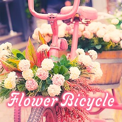 Flower Bicycle Theme +HOME