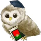 Learn Portuguese MetaLanguage