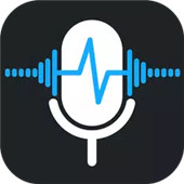 Voice Recorder Audio Sound MP3