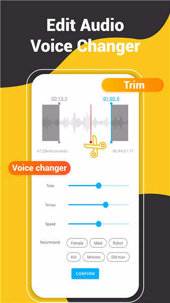 Voice Recorder Audio Sound MP3 screenshot