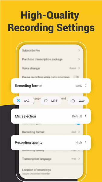 Voice Recorder Audio Sound MP3 screenshot