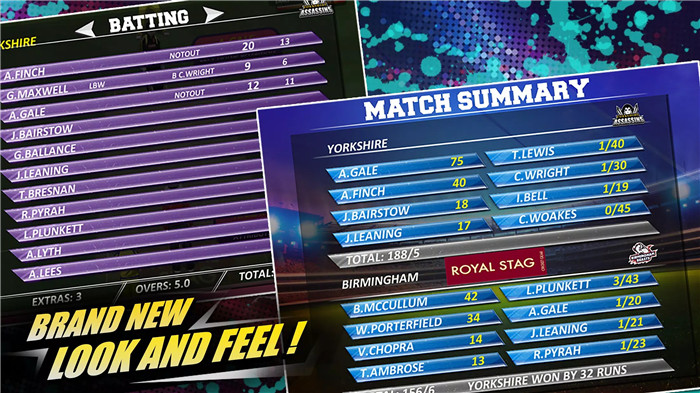 Real Cricket 16 screenshot