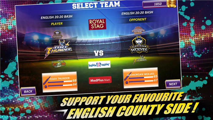 Real Cricket 16 screenshot