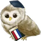 Learn Dutch MetaLanguage