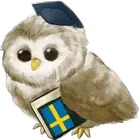Learn Swedish MetaLanguage