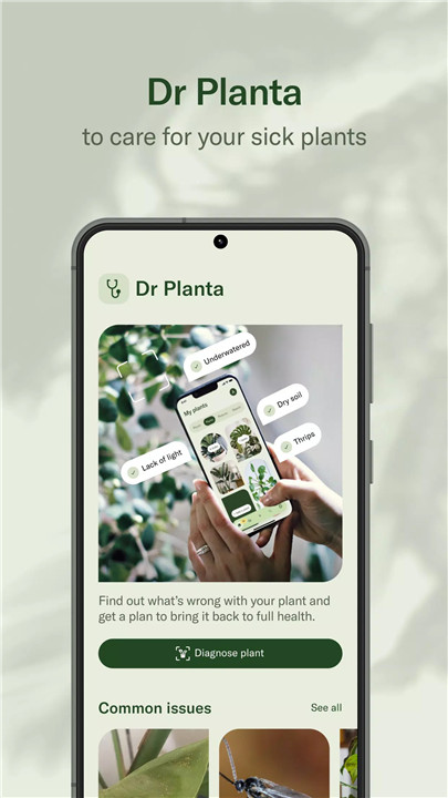 Planta screenshot