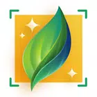 Plant-X, Plant Identification