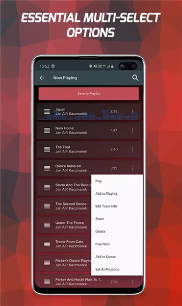 Pi Music Player screenshot