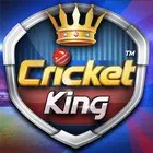 Cricket King logo