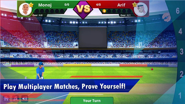 Cricket King screenshot