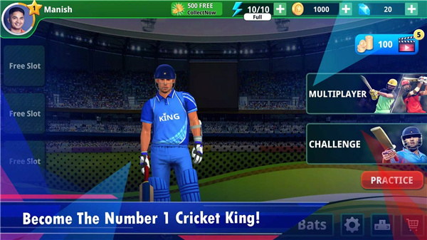 Cricket King screenshot