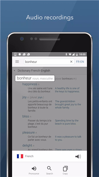 Dictionary Linguee screenshot