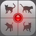 Human-to-Cat - Play with your