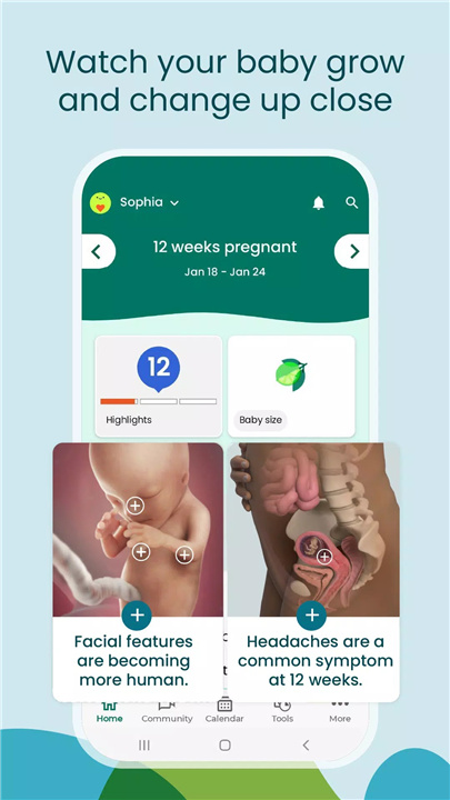 Pregnancy App & Baby Tracker screenshot