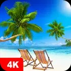 Tropical Wallpapers 4K