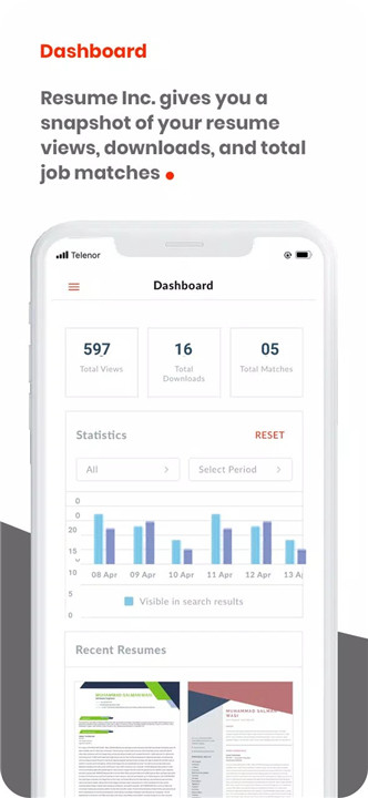 Resume Inc. screenshot