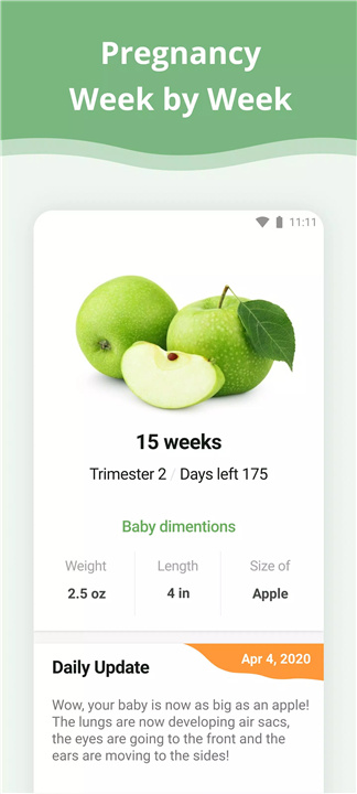 Pregnancy App screenshot