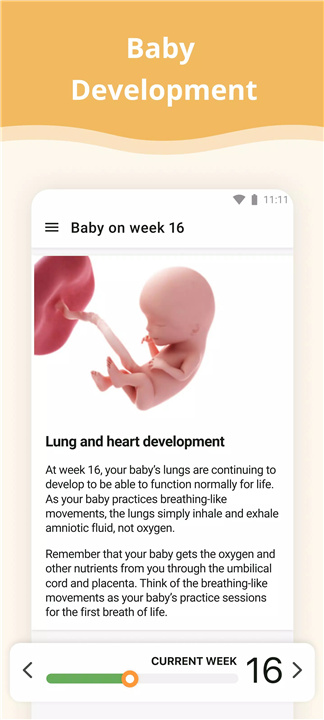 Pregnancy App screenshot