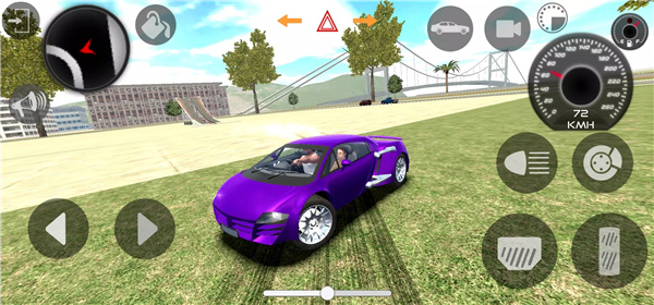 Indian Cars Simulator 3D screenshot