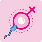 Ovulation Calculator