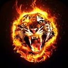 Fire Wallpaper 2023