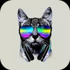 Cool Wallpapers 2023