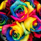 Colorful Wallpaper 2023