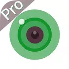 iCSee Pro