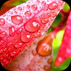 Rain Wallpaper 2023