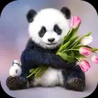 Panda Wallpaper 2023
