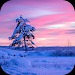 Winter Wallpaper 2023