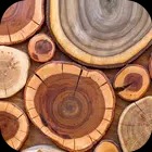 Wood Wallpaper 2023