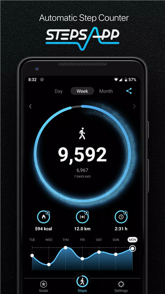 StepsApp – Step Counter screenshot